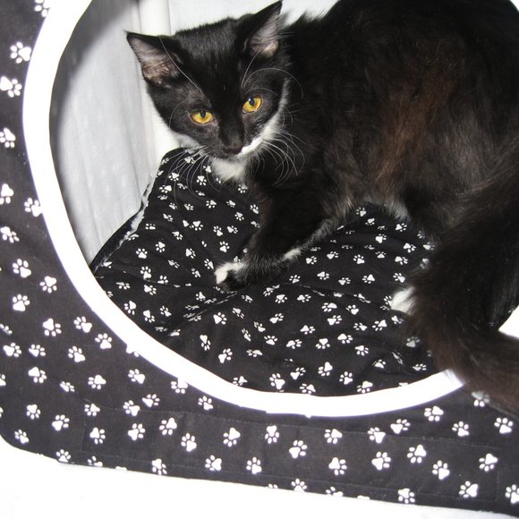 Cozy Cube Hideaway Pet Cave for Cat or Small Dog - Picture 2 of 7